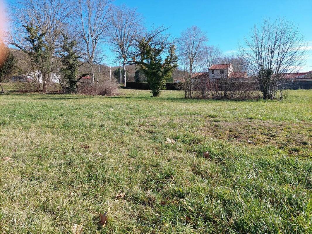 Terrain à MONTESQUIEU-VOLVESTRE