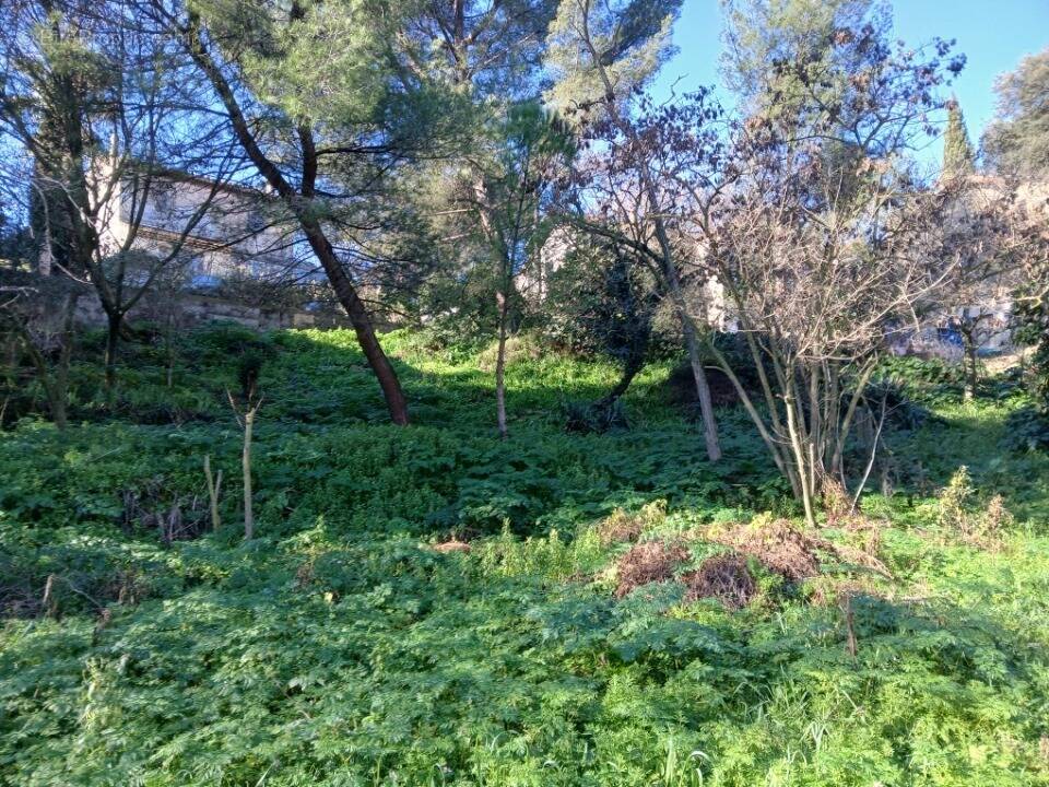 Terrain à MARSEILLE-11E