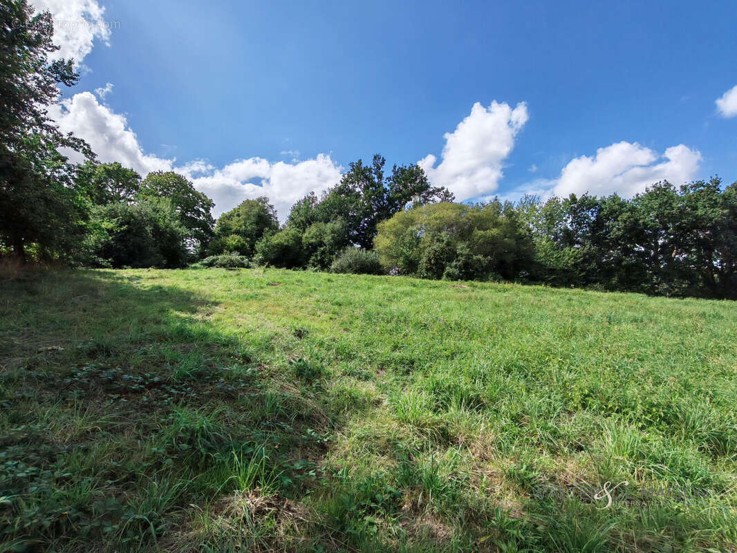 Maison à SAINT-AIGNAN
