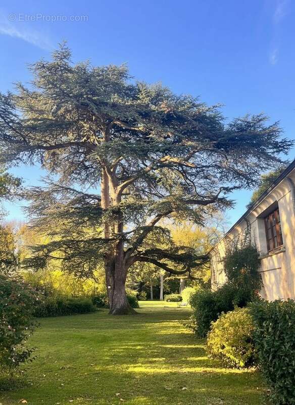 Maison à MONTOIRE-SUR-LE-LOIR