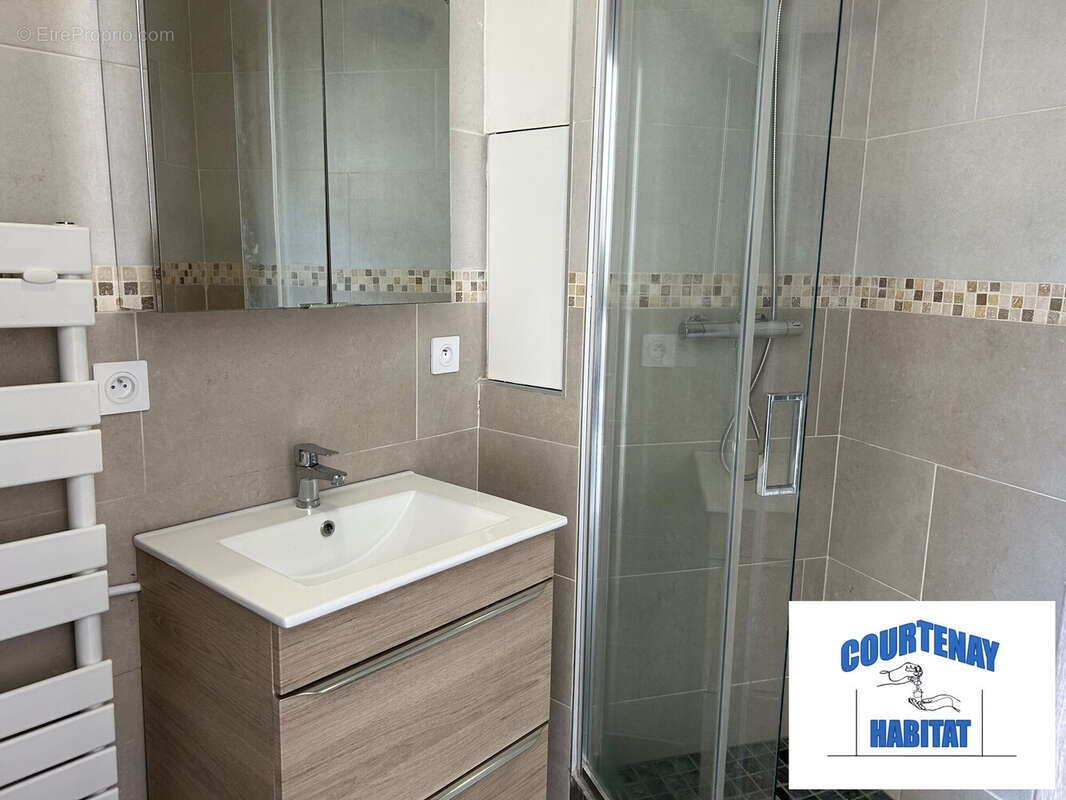 Appartement 163 m² à Courtenay  - photo 9