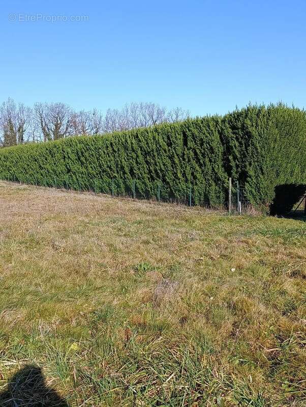 Photo 3 - Terrain à CASTELNAU-D'ESTRETEFONDS