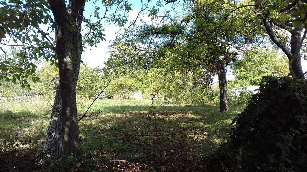 Terrain à JOUY-SUR-MORIN