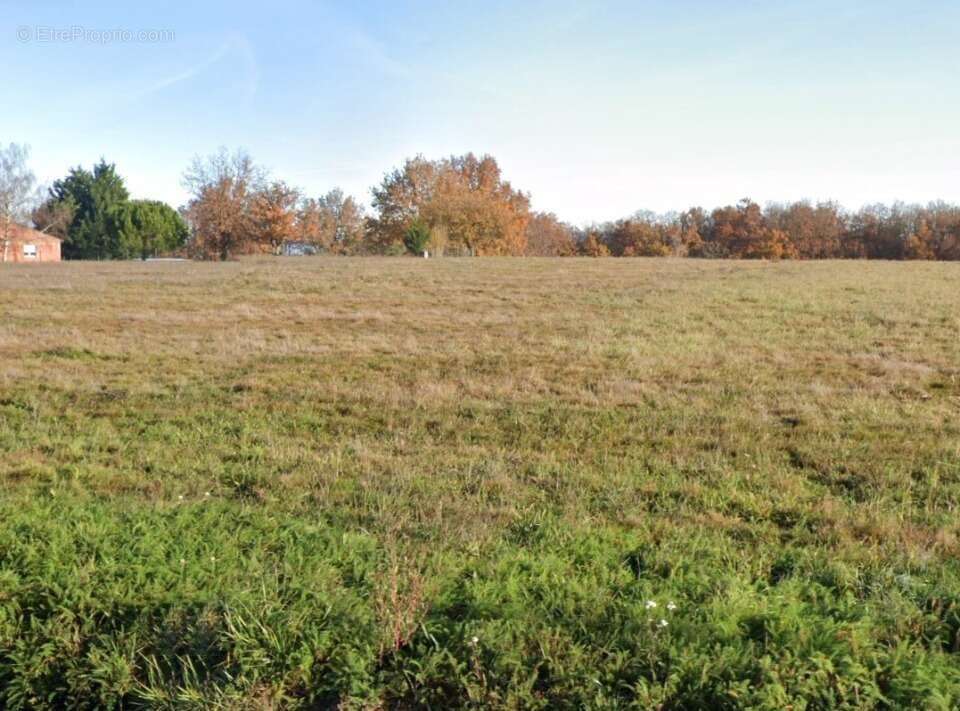 Terrain à LABASTIDE-SAINT-SERNIN