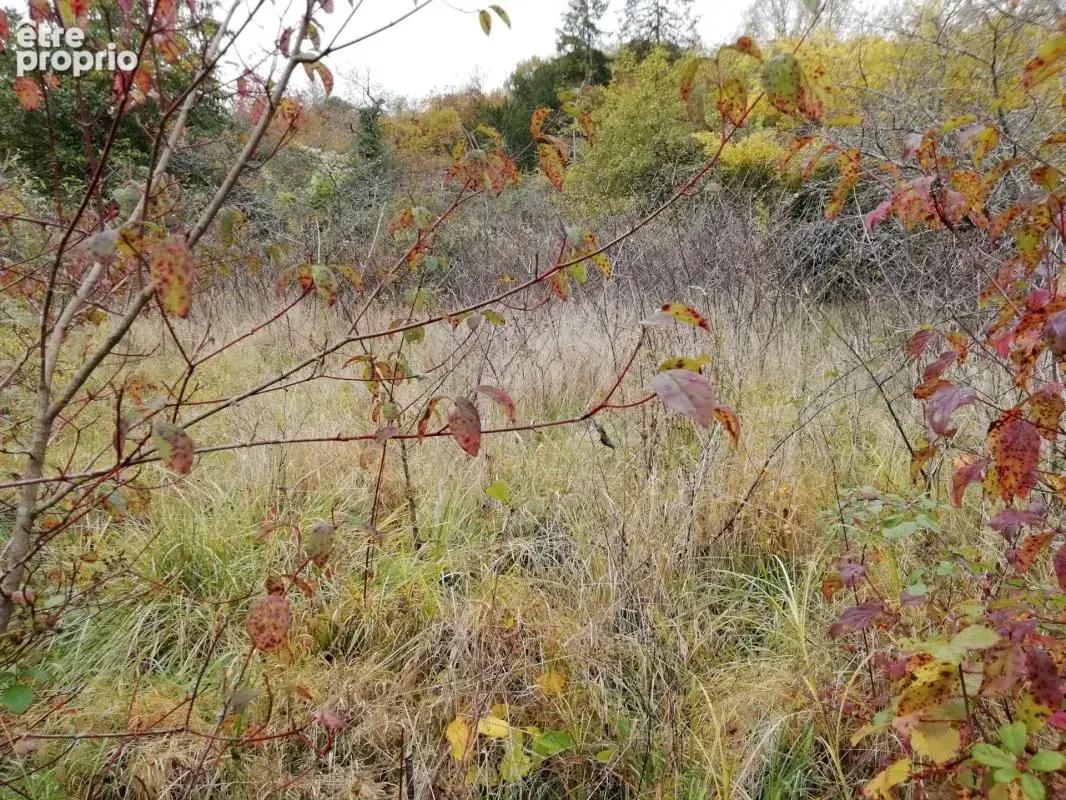 Terrain constructible / premery - photo 6