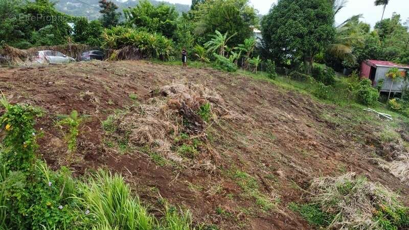 Terrain à LA TRINITE