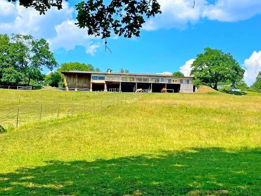 Exclusivité – Bourgogne, Morvan des Lacs – Secteur DUN-LES-PLACES - Une propriété de plus de 15 hectares, idéale pour une activi - photo 2