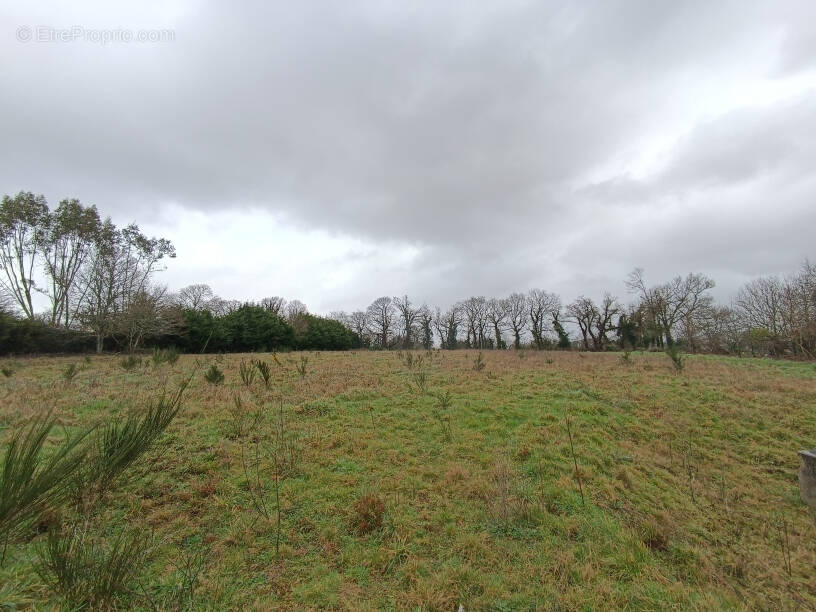 Terrain à PLOUGUERNEVEL
