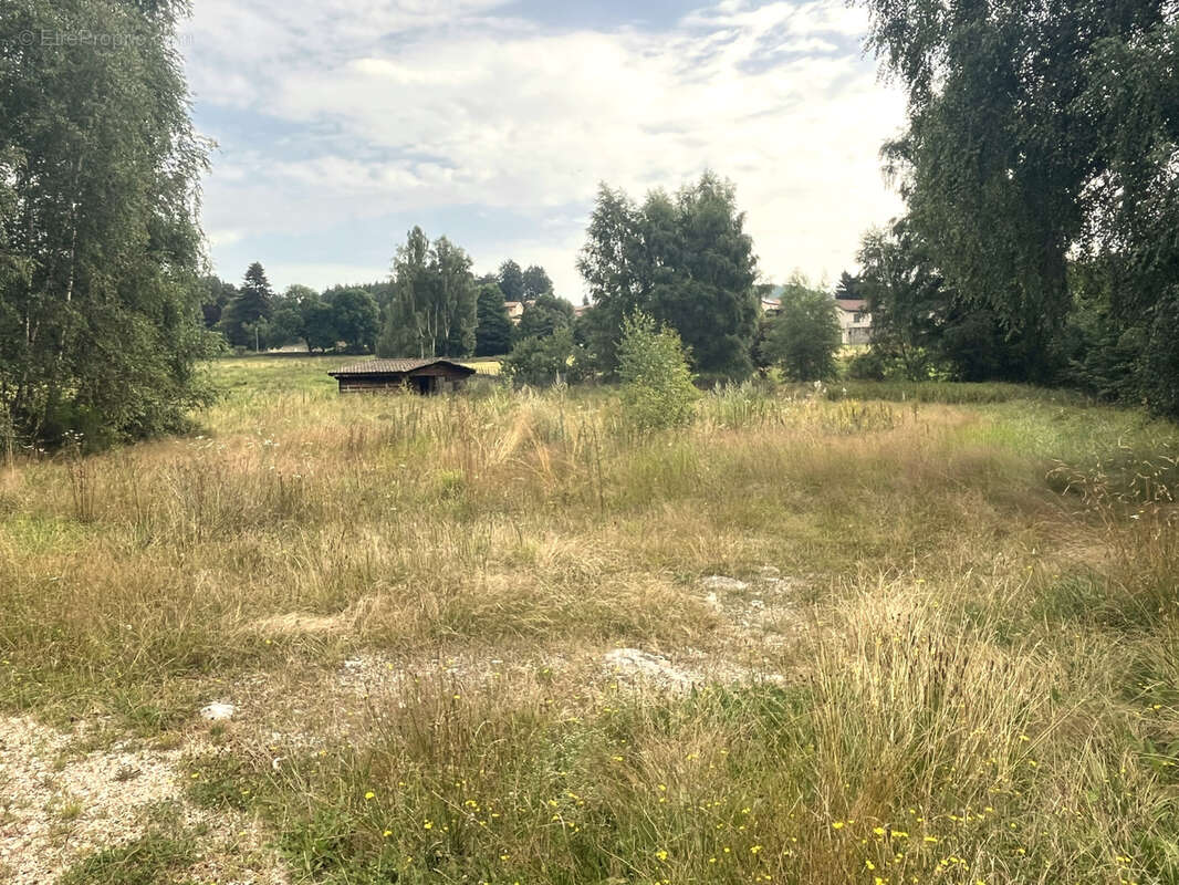 Commerce à USSON-EN-FOREZ