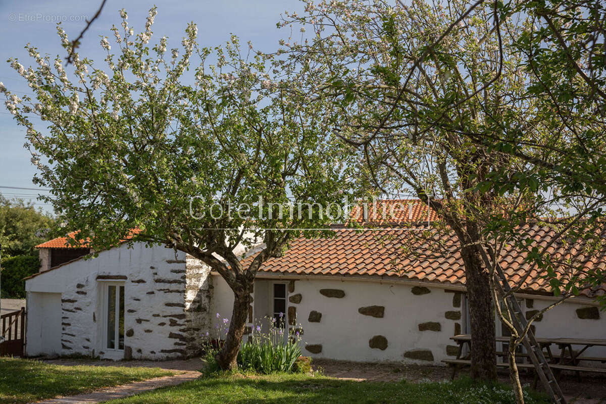 Maison à LES MOUTIERS-EN-RETZ