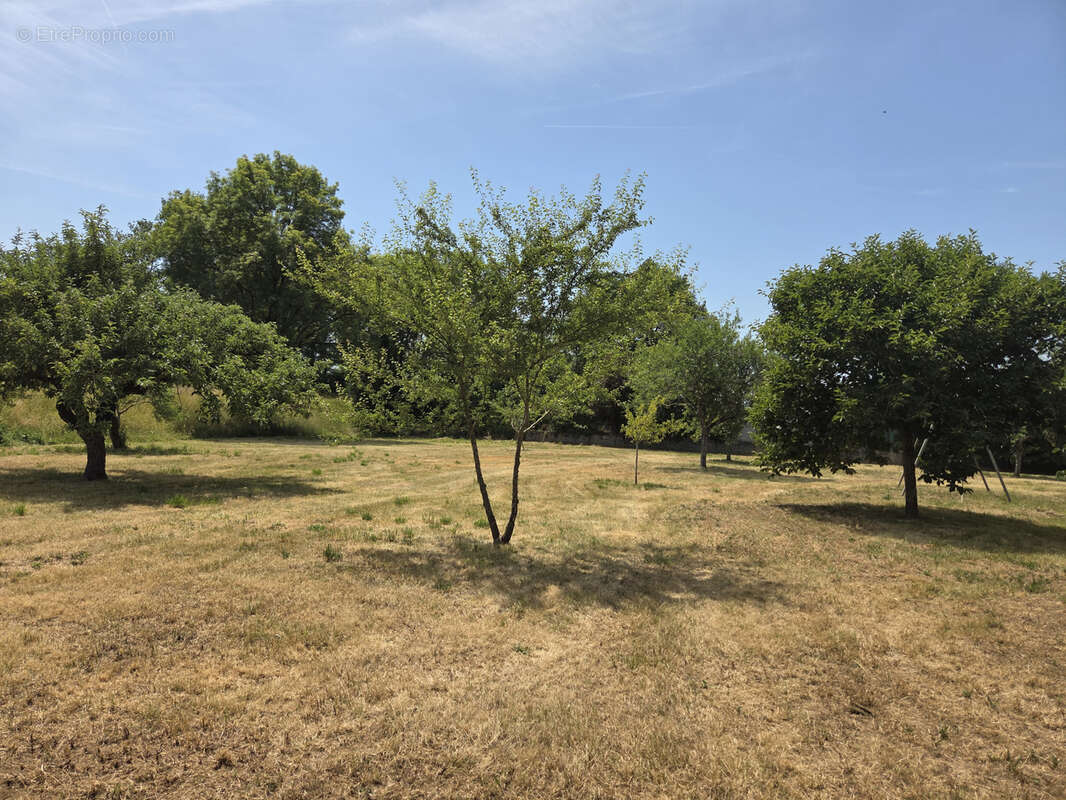 Maison traditionnelle composée de 3 logements avec grand jardin - photo 13