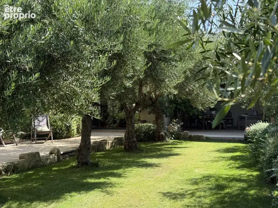 Paradou - au cœur des alpilles - photo 34
