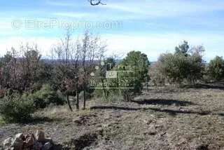 Terrain à BAUDINARD-SUR-VERDON