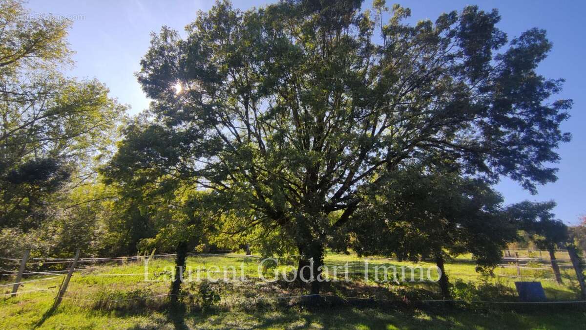 Maison à CASTELJALOUX