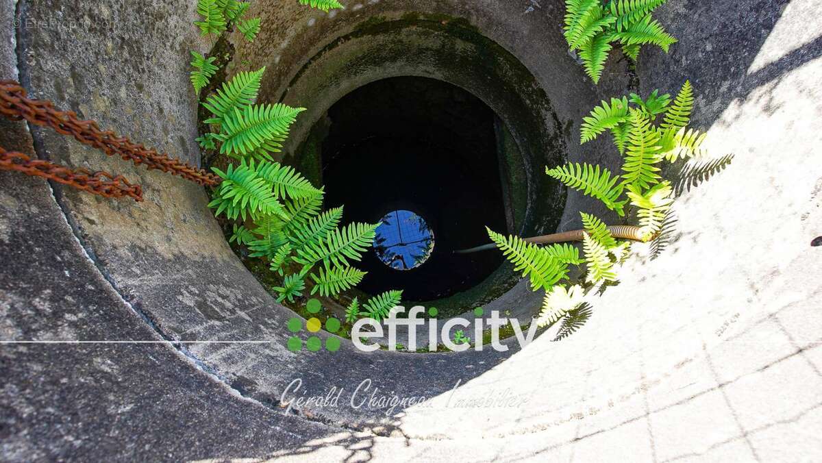 Maison à SAINT-LUMINE-DE-COUTAIS