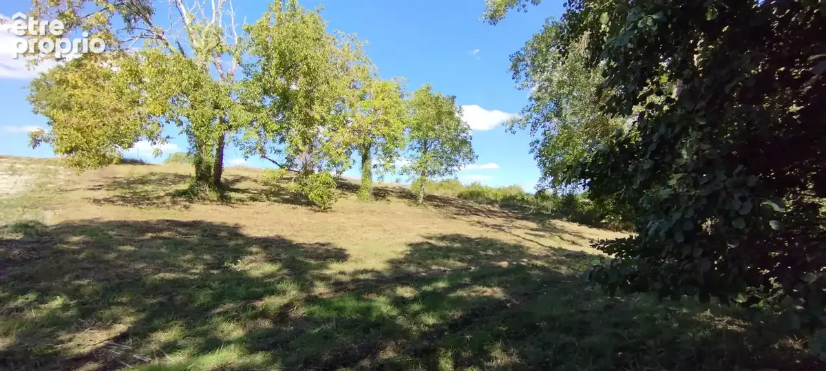 Terrain 1 539 m² à vendre à Martizay (36220) - photo 5