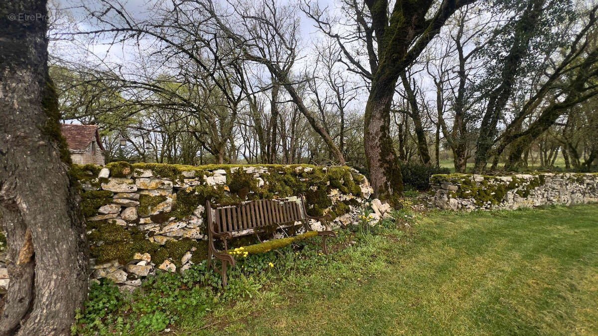 Propriété de charme avec dépendances et 7 hectares dans le lot - photo 3