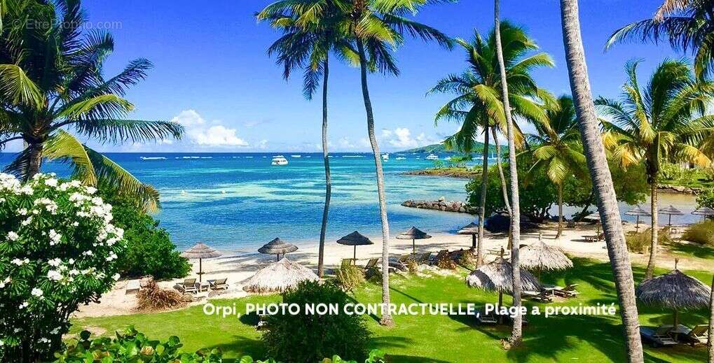 Terrain à LE FRANCOIS