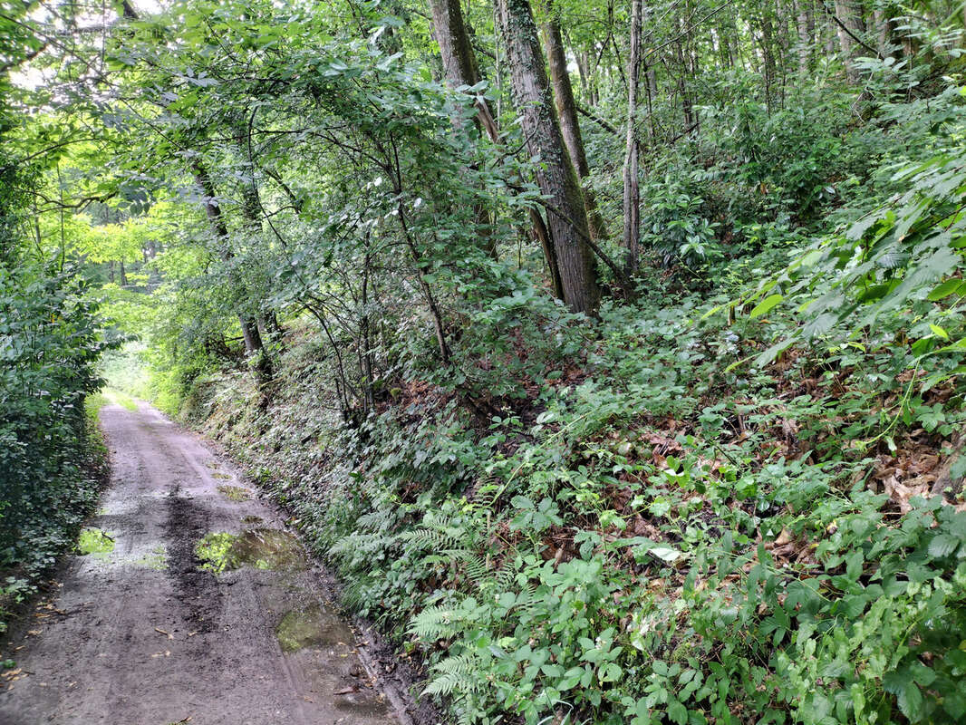 Terrain à SAINT-JEAN-SUR-MAYENNE