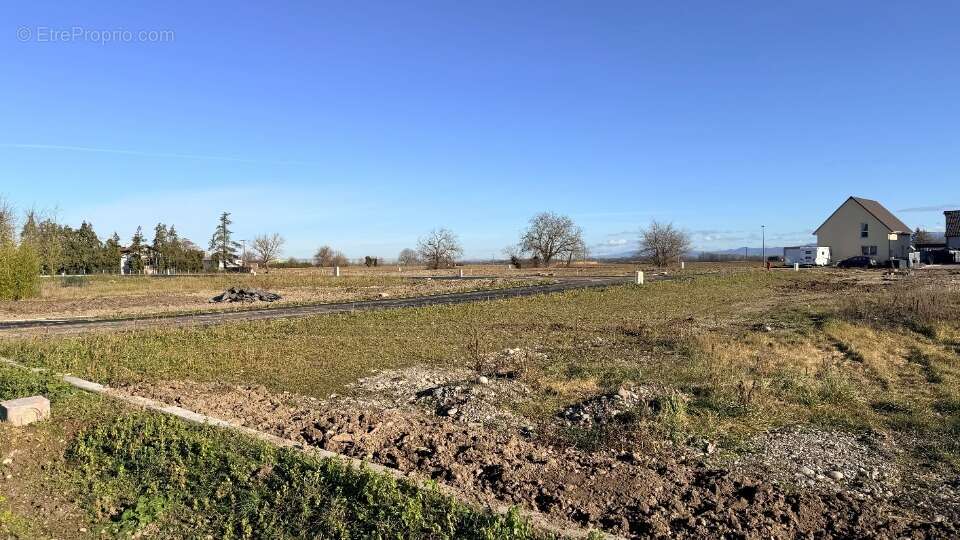 Terrain à BANTZENHEIM