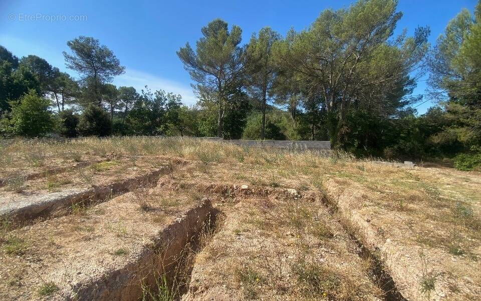 Terrain à FOX-AMPHOUX