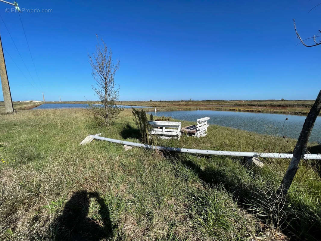 Maison à SAINT-JUST-LUZAC