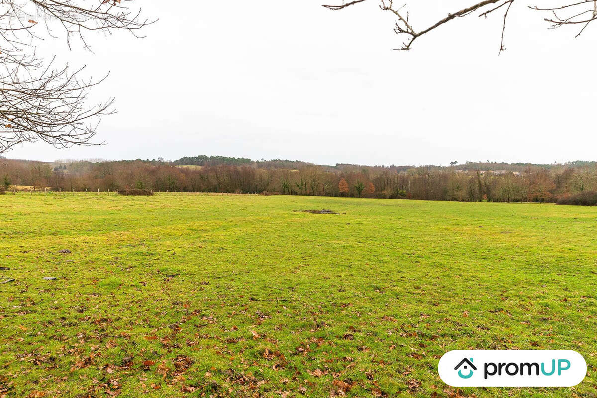 Terrain à BOISREDON