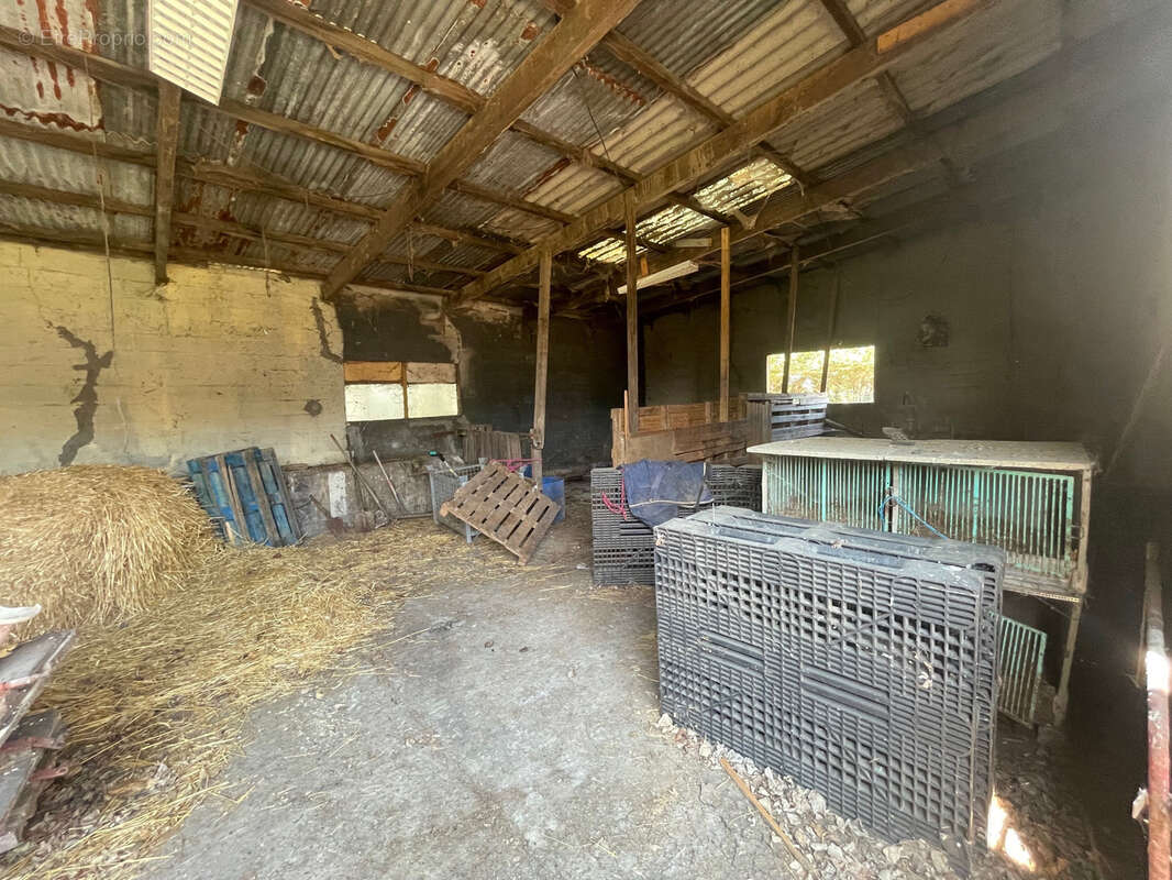 Hangar de stockage 250 m2 - photo 5
