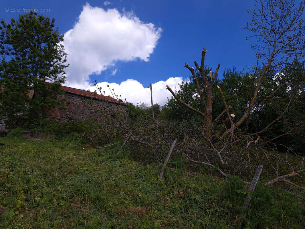 Maison en pierre en partie rénovée et petite bergerie - photo 18