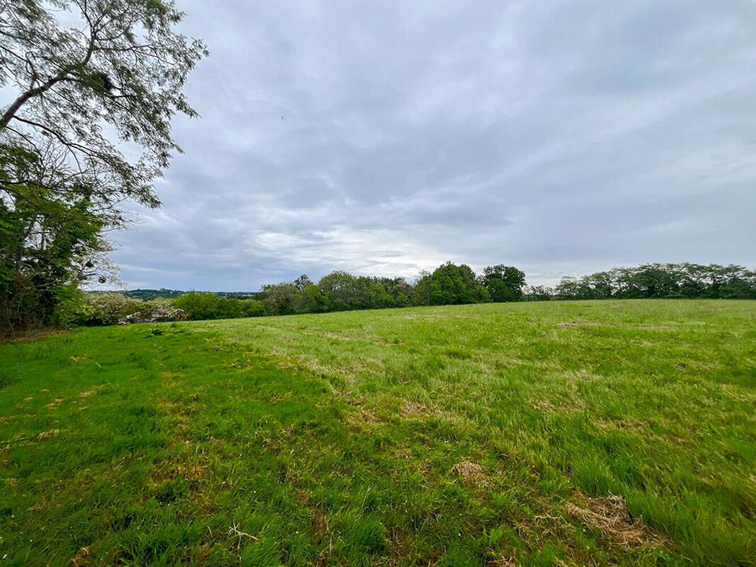 Terrain à HORSARRIEU