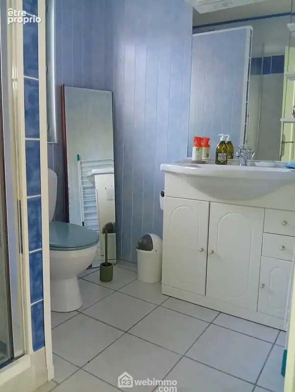 Une salle d'eau aménagée