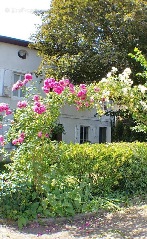 Photo 1 - Appartement à AIXE-SUR-VIENNE