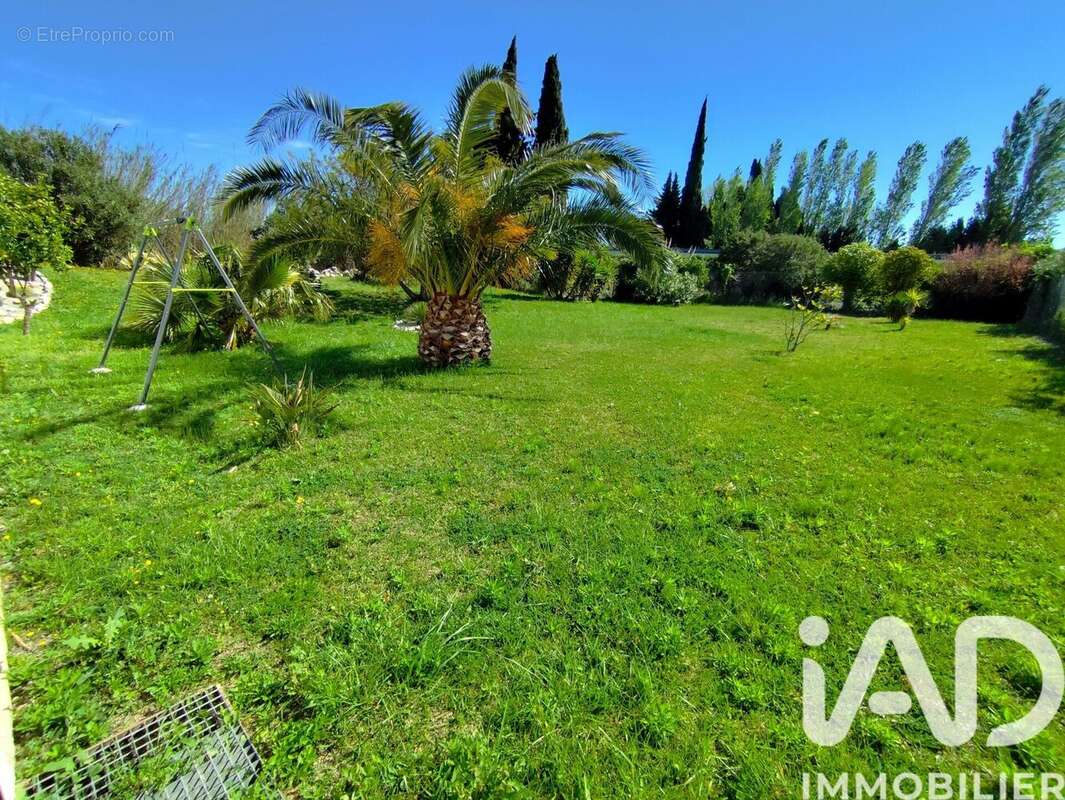 Photo 4 - Maison à SALSES-LE-CHATEAU