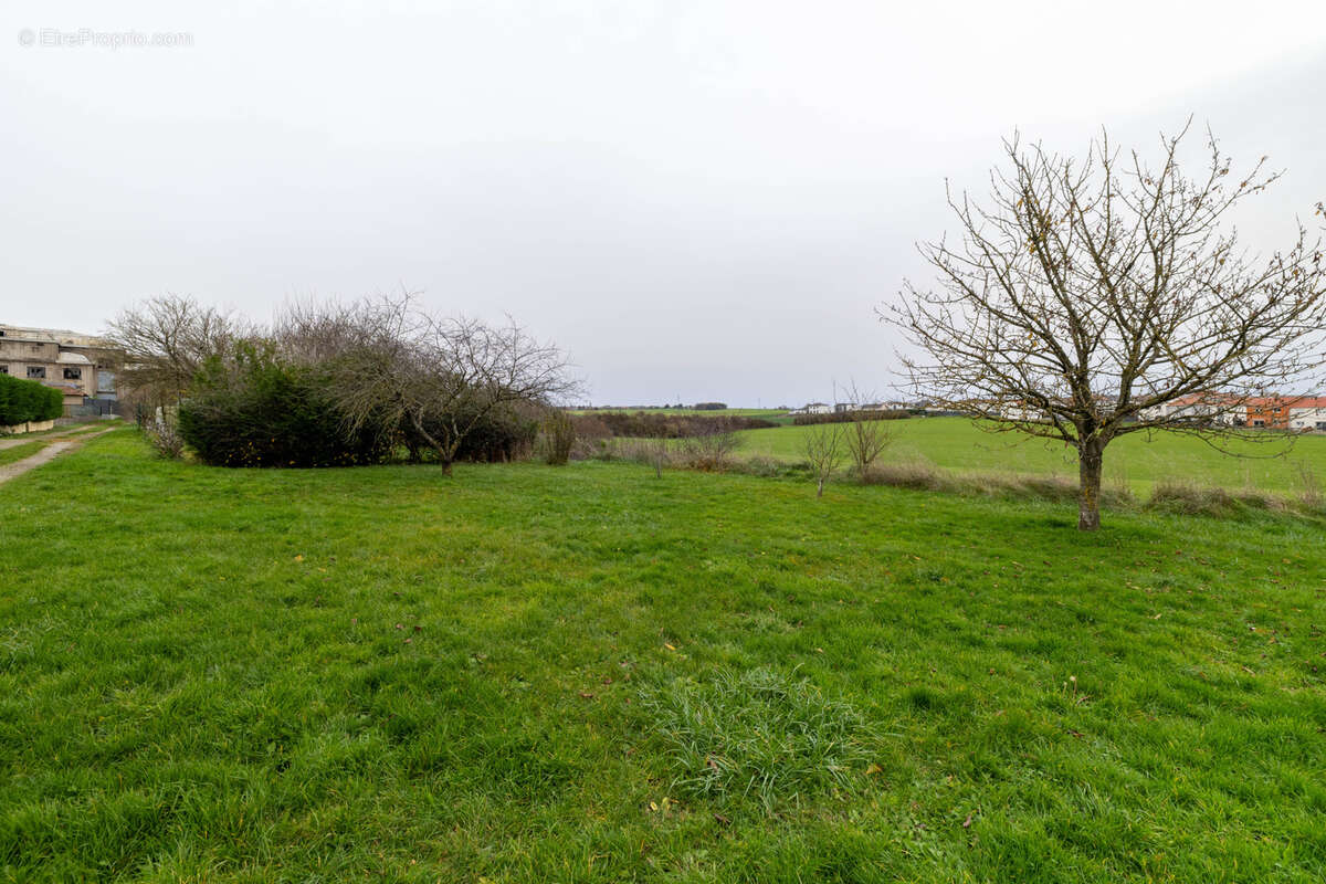 Maison à SAINTE-MARIE-AUX-CHENES