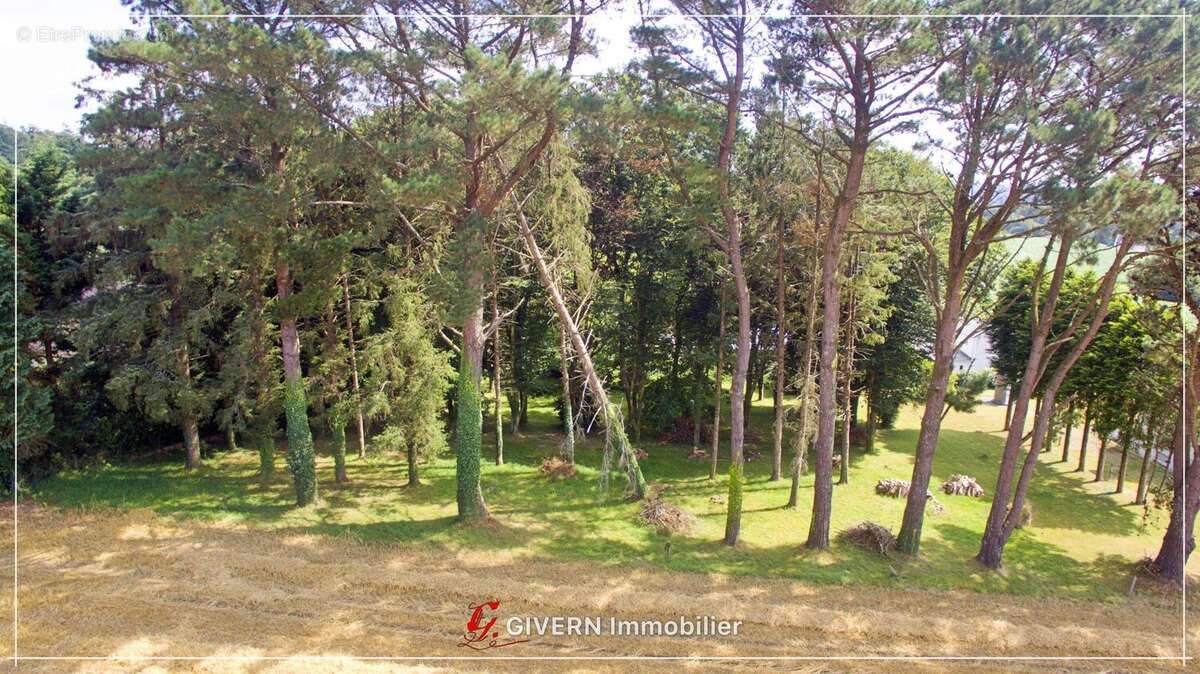 Maison 172 m² à Lanvaudan  - photo 4