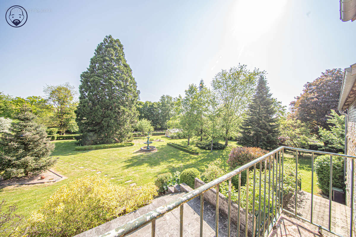 Maison de caractère 314 m2 et grand parc arboré - photo 17