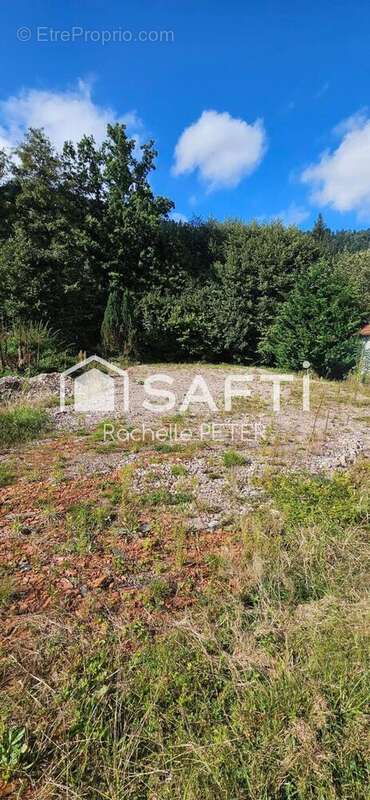 Terrain 805 m² à Sapois  - photo 3