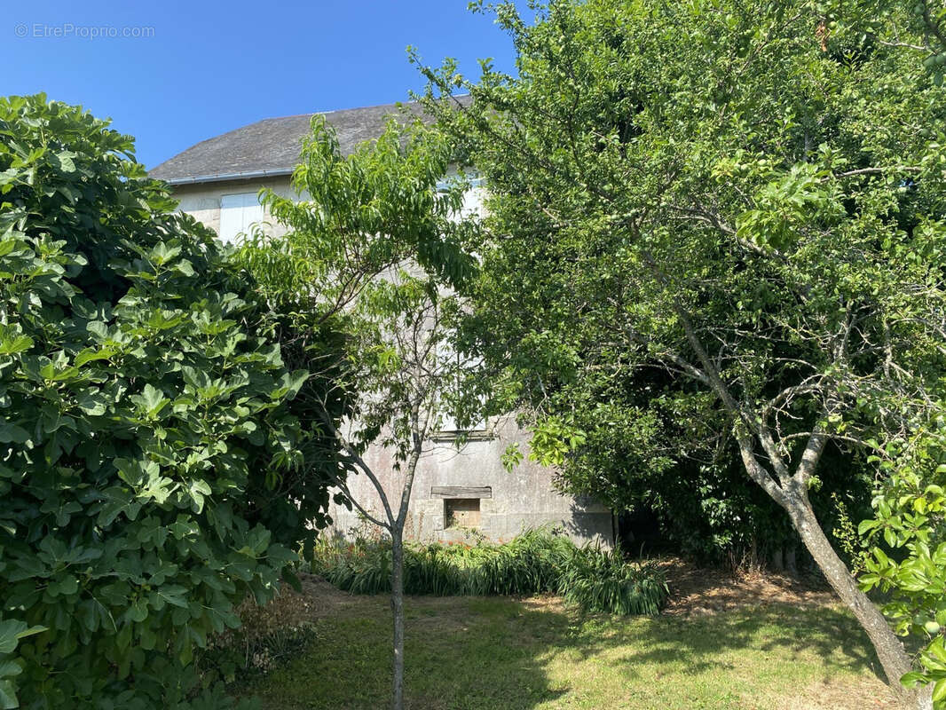 Maison à SAINT-CYR-LES-CHAMPAGNES