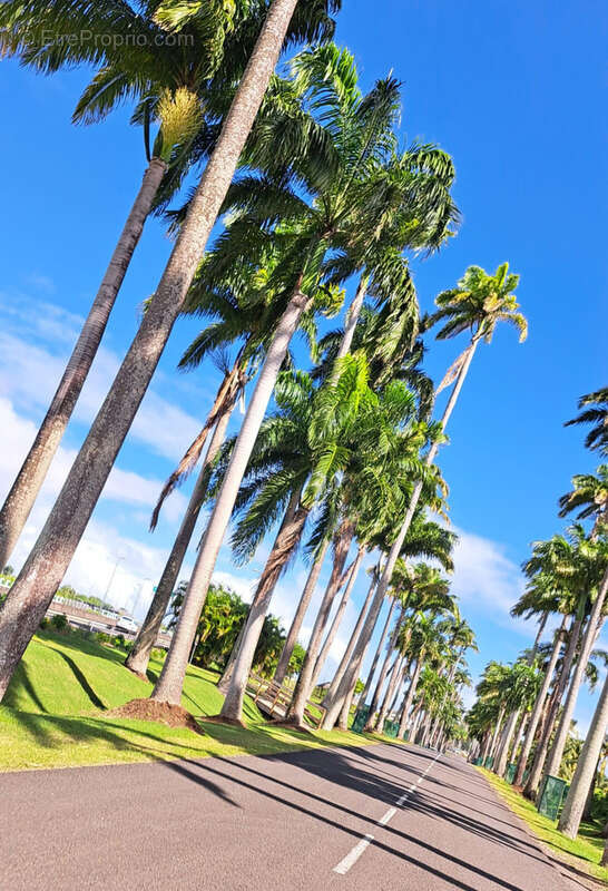 Maison à CAPESTERRE-BELLE-EAU