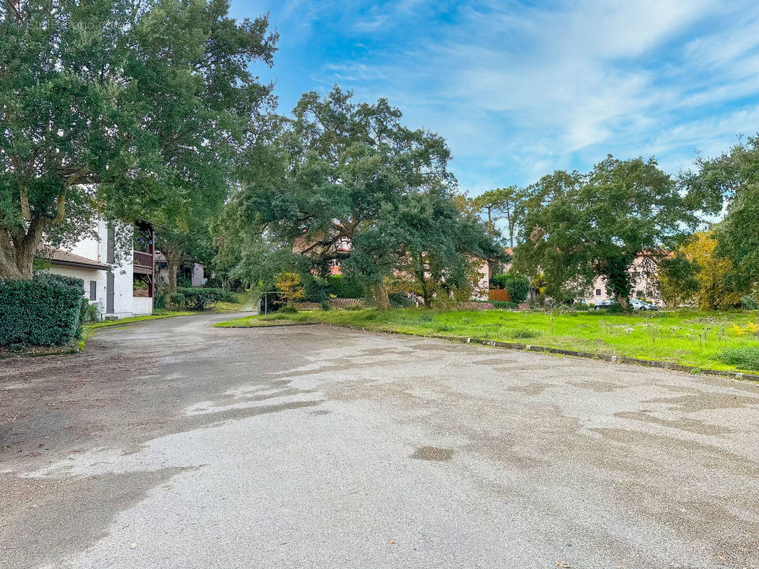 Photo 1 - Appartement à SAINT-JULIEN-EN-BORN