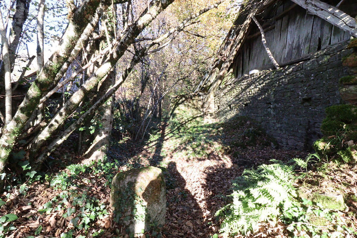 Autre à SAINT-AUGUSTIN