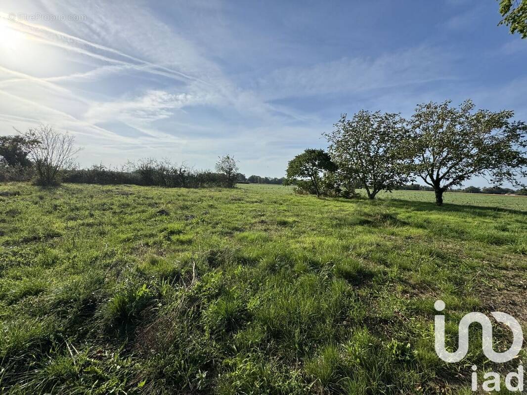 Photo 1 - Terrain à CHOUZE-SUR-LOIRE