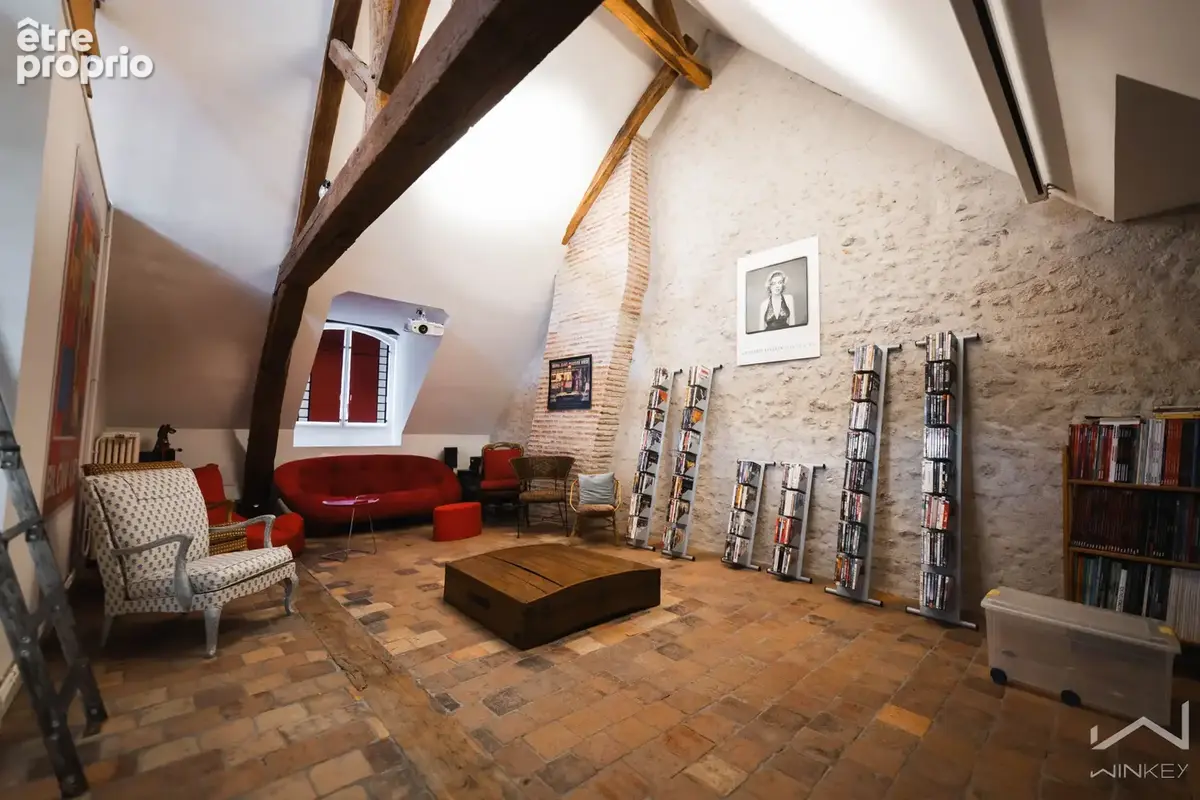 Orleans-centre historique - photo 19