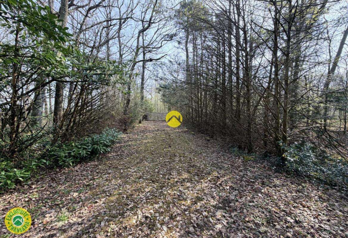 Terrain à MAREUIL-SUR-ARNON
