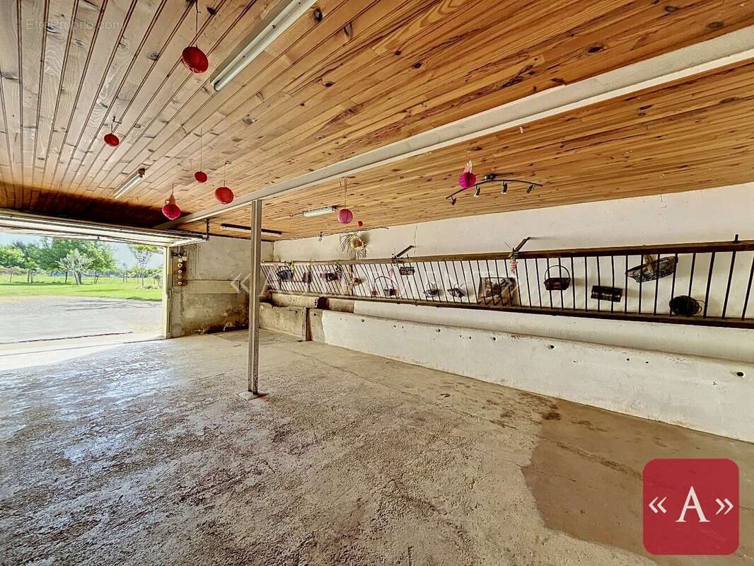 Ferme authentique - photo 15