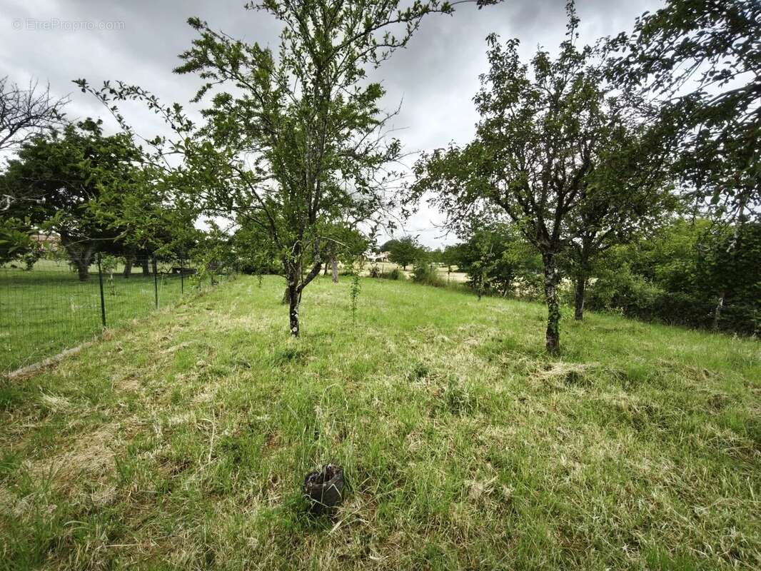 Terrain à GENCAY