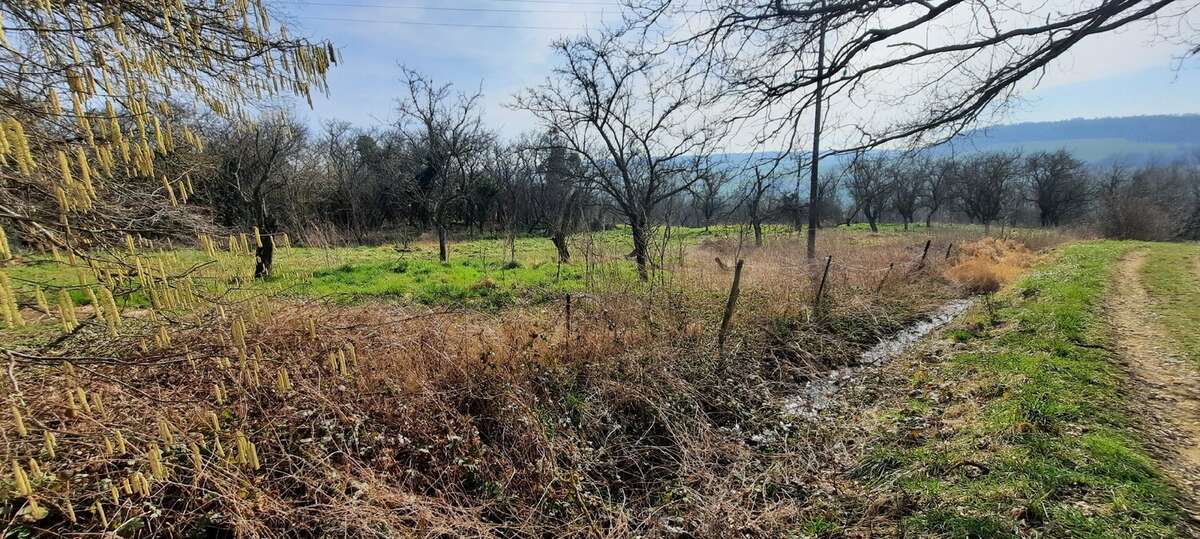 Terrain à LANDREMONT