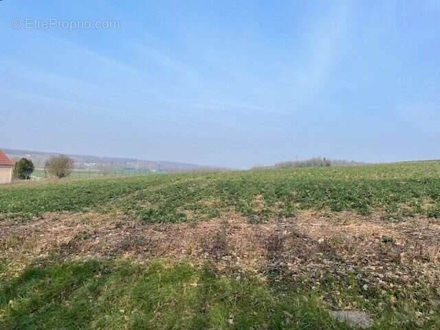 Terrain 3600 m² à Bonnes  - photo 2