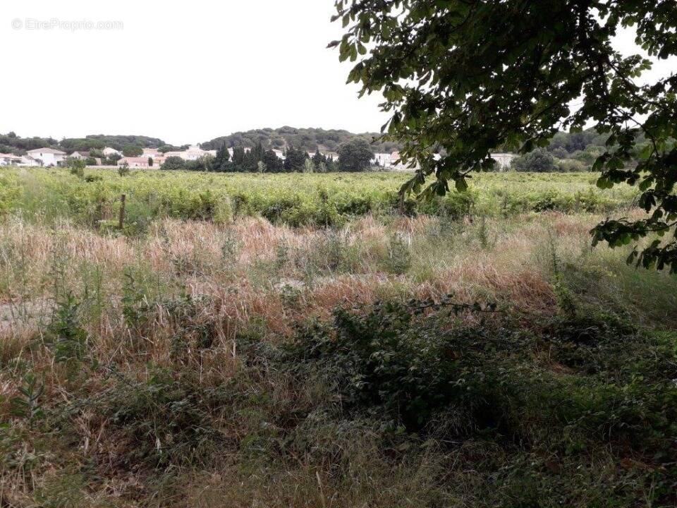Terrain à BIZANET