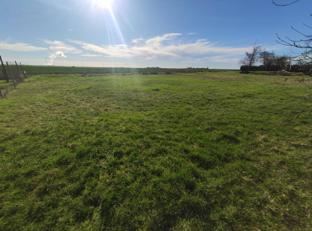 Terrain à LE BARDON